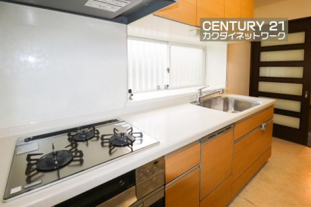 Lb`@Ă܂̂Ŗ邢Lb`łł܂B