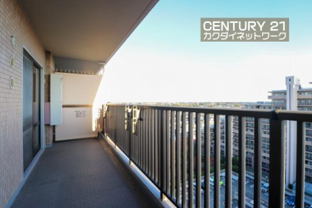 �o���R�j�[�@�����̗z�����~�蒍���A�����ɗz���܂�𐶂ݏo���Ă���܂��B