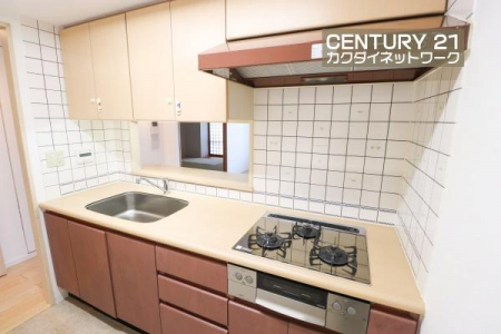 �L�b�`���@���H���̏��������Ȃ���Ƒ��Ƃ̉�b���y���߂�ΖʃL�b�`���B