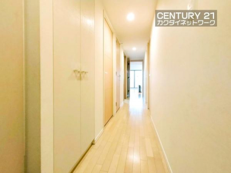 ���̑����ρ@�i���̂Ȃ����邢�L���ł��B