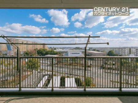 �Z�˂���̒��]�ʐ^�@���]�ǍD�ł��B���n�ɂĂ��m�F�������������|�C���g�ł��B