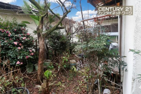 ���̑����n�@-