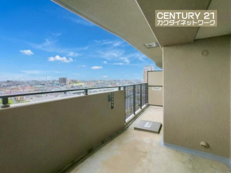 �o���R�j�[�@�����̗z�����~�蒍���A�����ɗz���܂�𐶂ݏo���Ă���܂��B