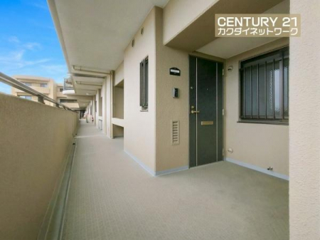 �@���p�L��